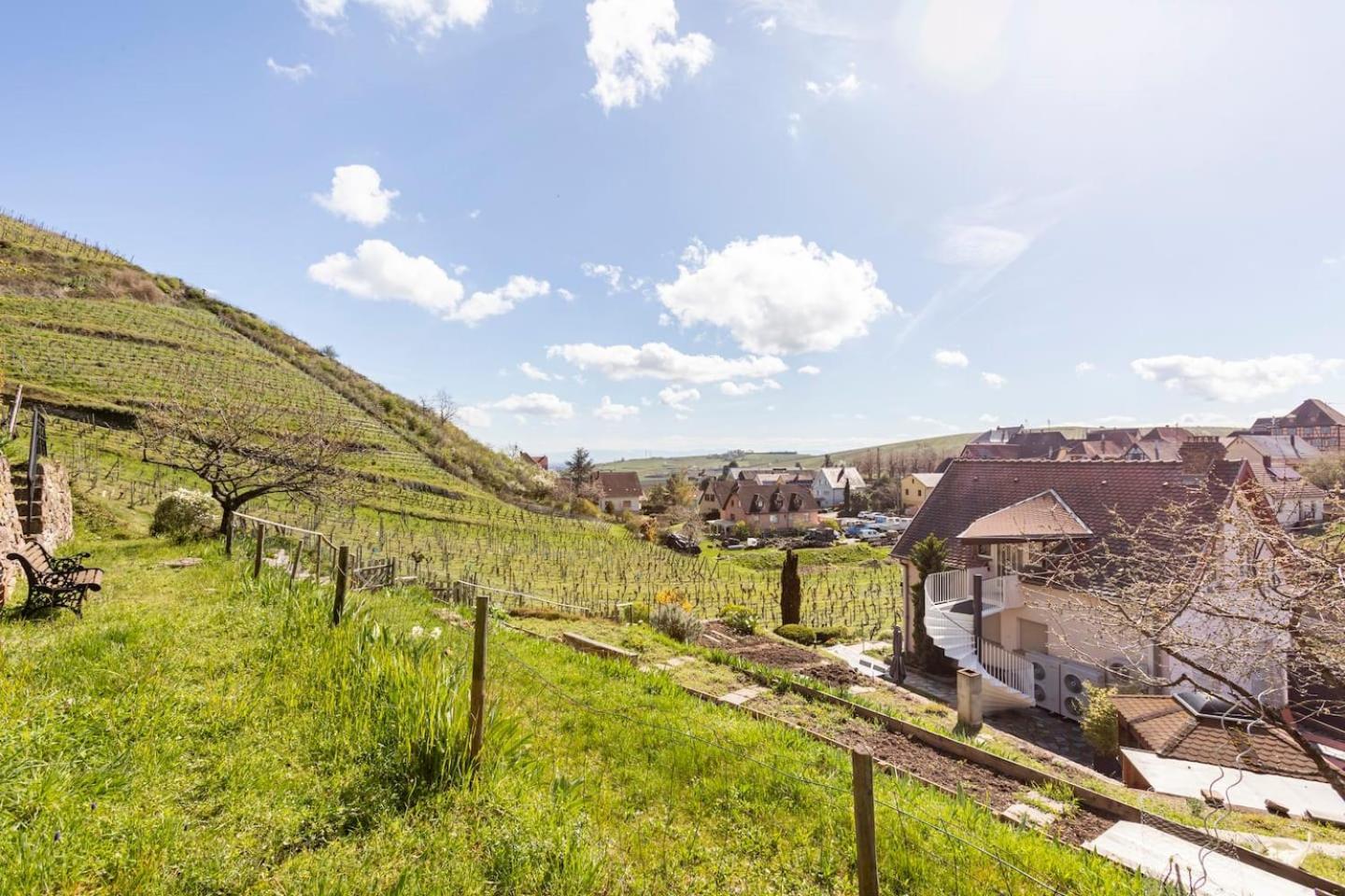 Les Glycines Du Sommerberg Niedermorschwihr 外观 照片
